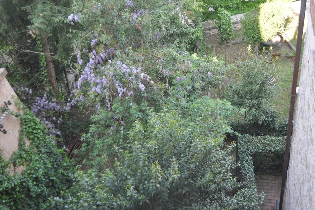 Il Profumo Del Lauro Διαμέρισμα Περούτζια Εξωτερικό φωτογραφία