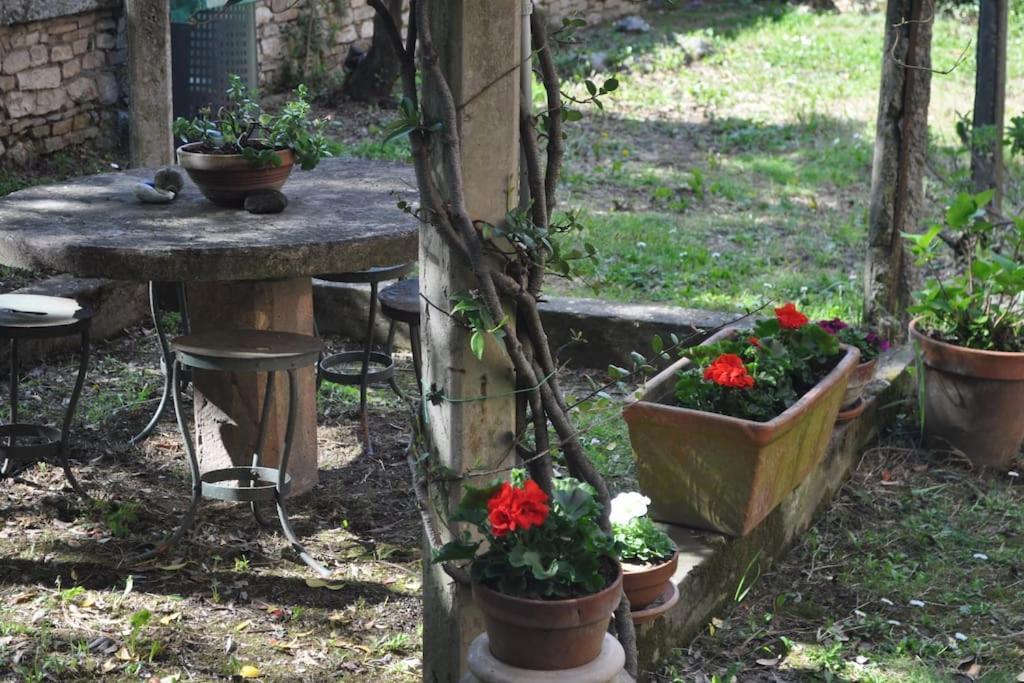 Il Profumo Del Lauro Διαμέρισμα Περούτζια Εξωτερικό φωτογραφία